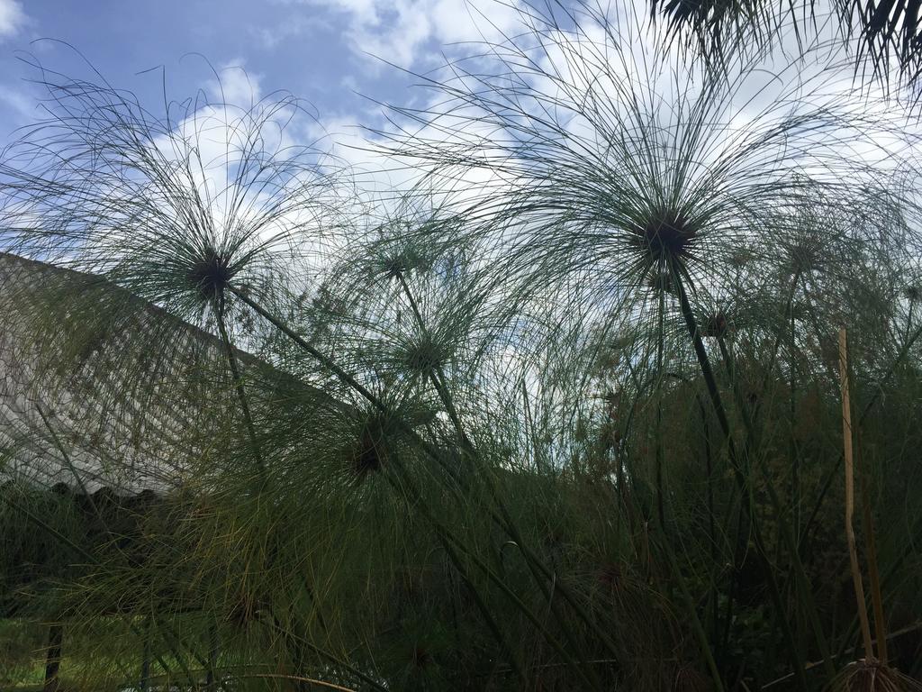Phu Pha Nam Resort Danszaj Kültér fotó