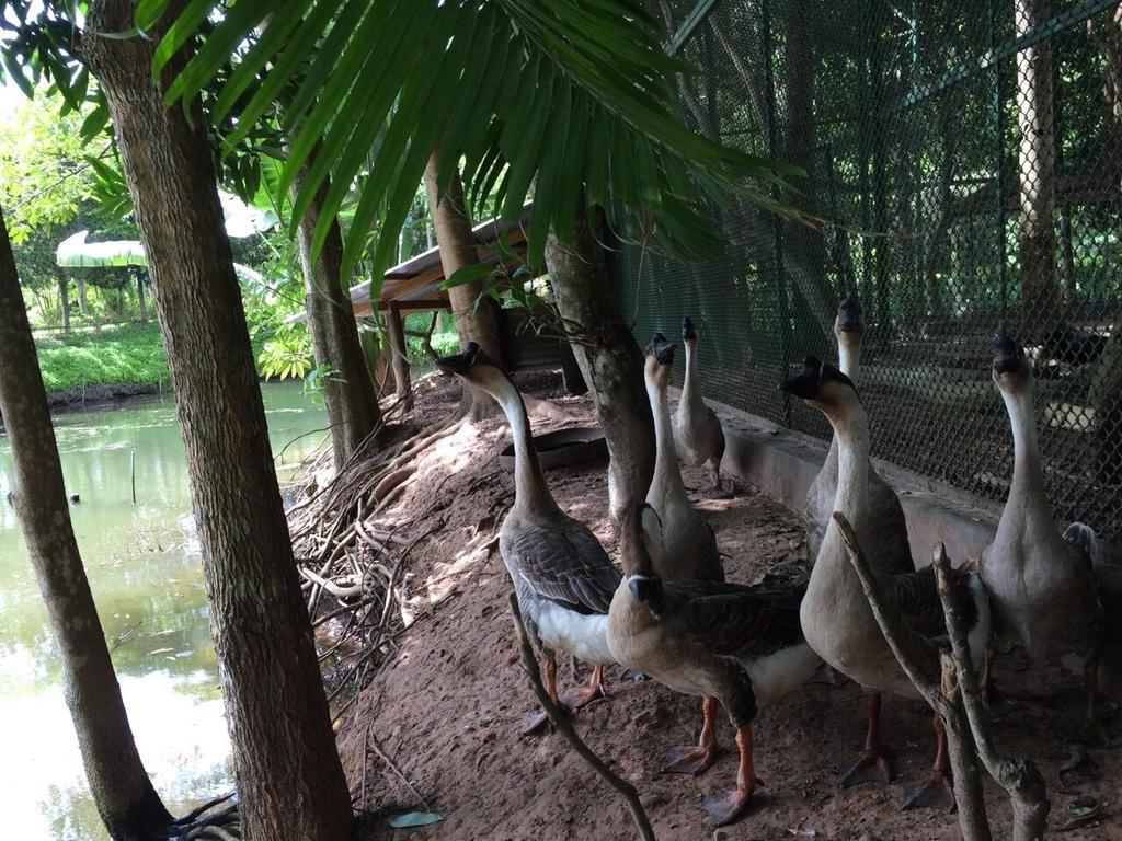 Phu Pha Nam Resort Danszaj Kültér fotó